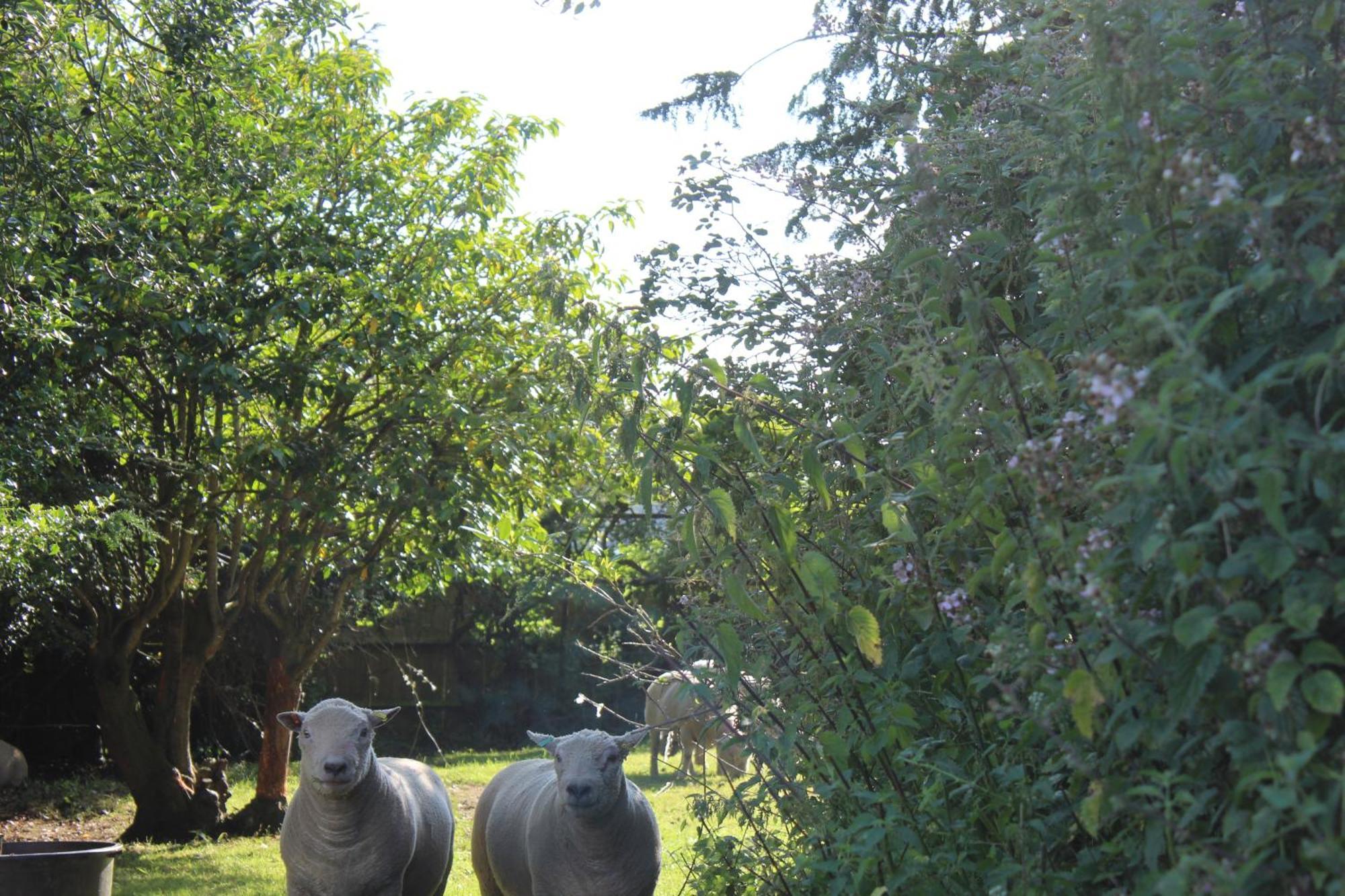 Parkfields Barns Self Catering Accommodation Buckingham Exterior foto
