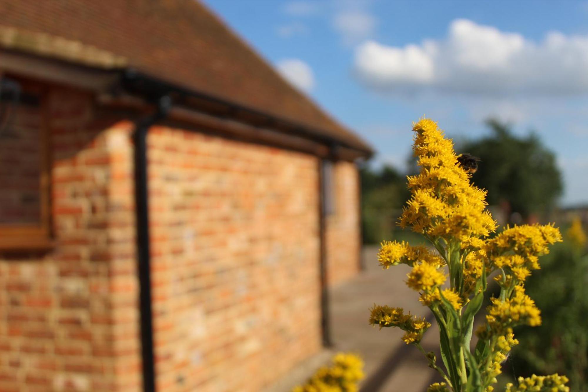 Parkfields Barns Self Catering Accommodation Buckingham Exterior foto